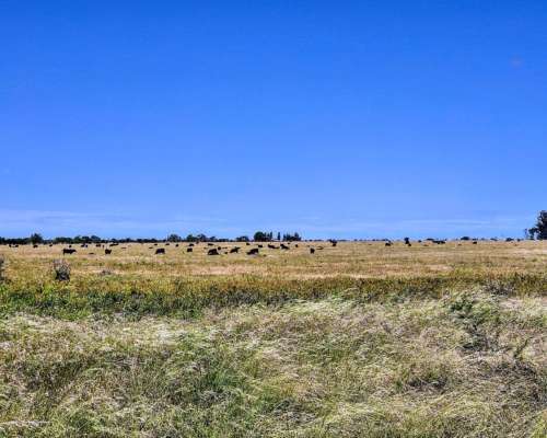 Er0345 4000 HA. Mixto Felciano Entre Rios