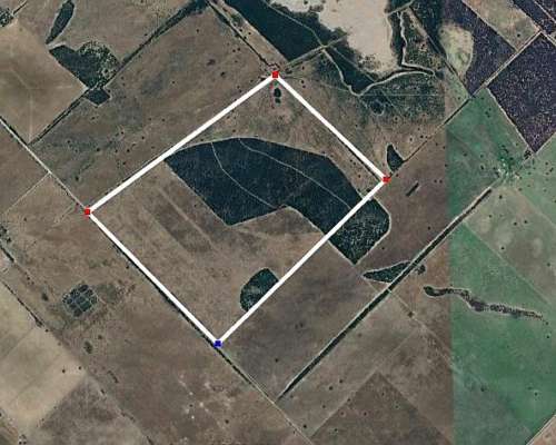 196 Hectareas Ganaderas, Monte de Secano, Zona Semiarida