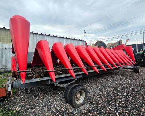 Maicero de Grande 13 a 52