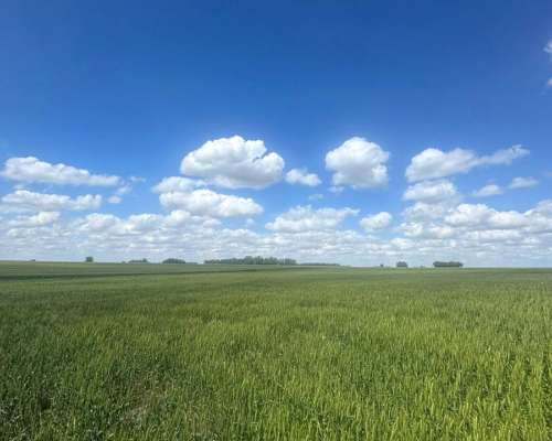 Campo Agrícola de 70 Hectáreas