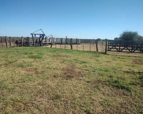 Vendo Campo Zona Buena Esperanza Sobre Autopista
