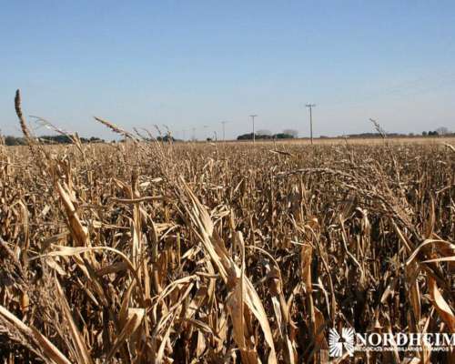 General Belgrano, Buenos Aires - 95 Ha