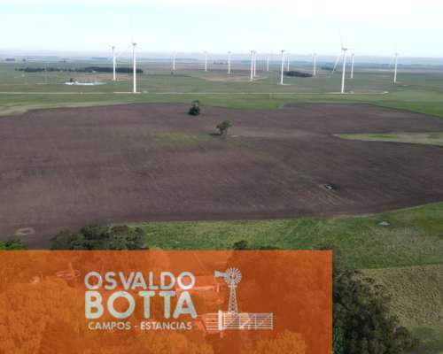 Campo Mixto en Venta 103 Has en Miramar, Buenos Aires