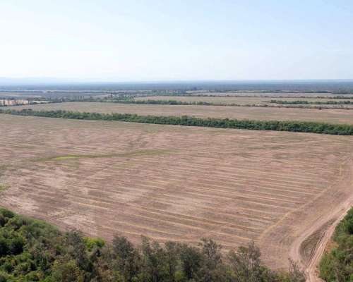 Pcia. de Salta - Embarcacion 1370 Has