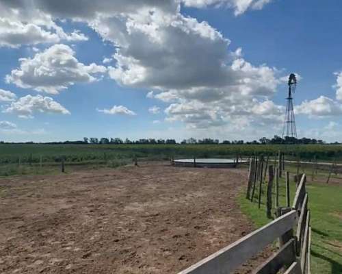 Se Venden 100 Ha Zona Pilar