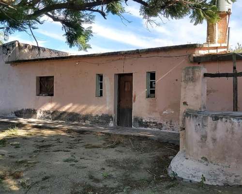 Campo Mixto en Venta - 1549 Hectáreas
