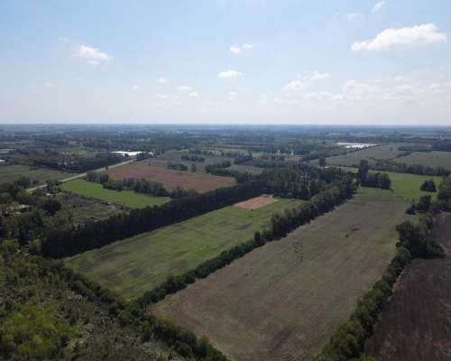 Campo en Venta de 118 Has en Exaltacion de la Cruz