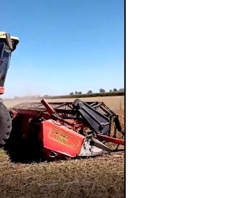 Cosechadora Don Roque 150 con Cabezal 28 Pies año 1999