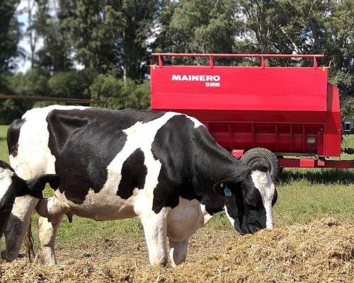 Mainero Mixer de 6 a 16 M3