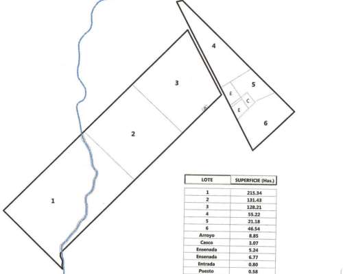 600 Has. Mixtas las Flores
