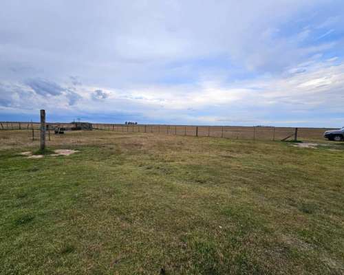 Campo Venta las Flores 180 Ha Ganadero