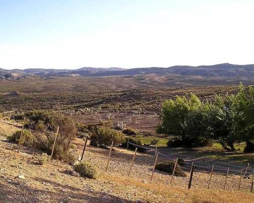 Río Senguer, Chubut - 16.000 Ha