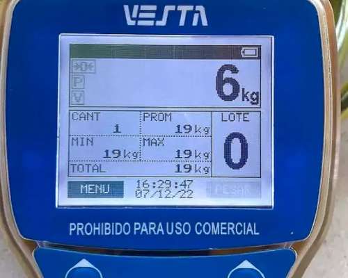 Balanza para BIG BAG 2500 Kilos.