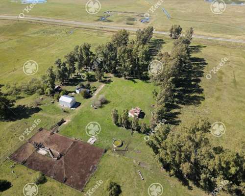 Campo en Venta de 1420 Has en Azul. Ganadero