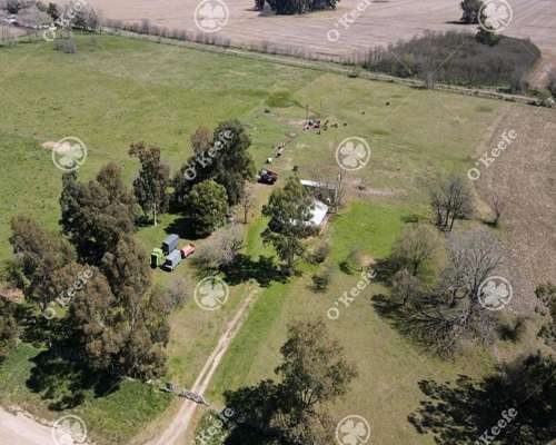 Chacra en Venta de 15 Has en Gral. Belgrano. Agricola