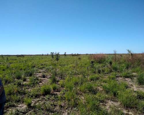 Vendo Campo Agricultura-malbran S,e,