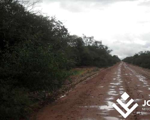 Muy Buen Campo Mixto en Venta