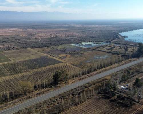 Finca de 60ha en Ruta N° 40 Capdevilla Derecho de Riego