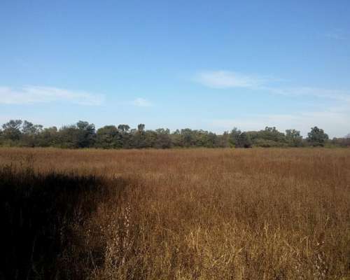 Campo Mixto Agricola - Ganadero - Santiago del Estero 35%off