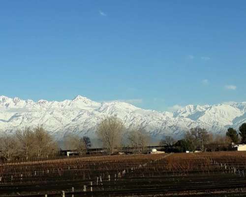 Finca 2,6 Has. de Malbec con Tela