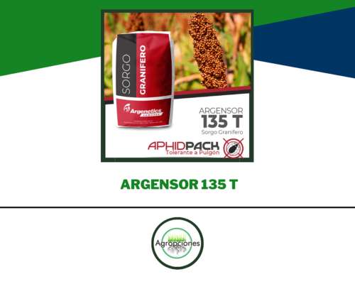 Semilla de Sorgo Argensor 135 T Tolerante a Pulgon