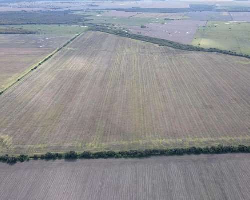 150 Hectáreas Agrícolas en Gualeguaychú.