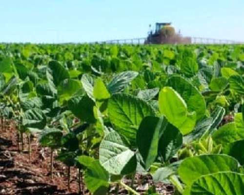 127 Ha Villaguay. Agrícolas
