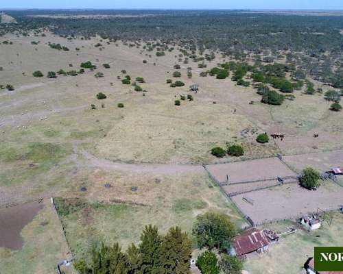 Gualeguay, Entre Ríos - 3737ha