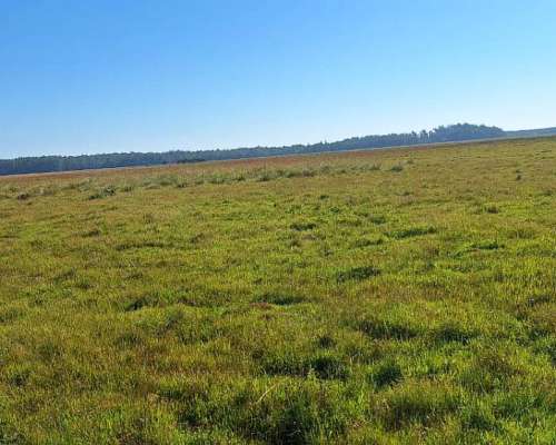 Impresionante Campo Mixto. Ituzaingo. Ctes