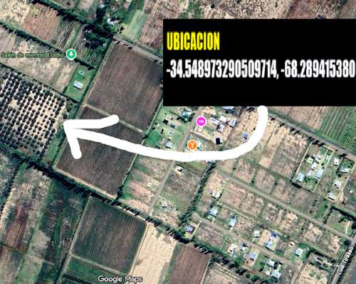 Linda Finca con Producción para Aceite ,5,6 Hectáreas