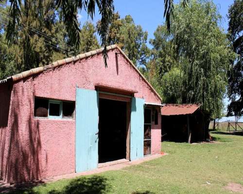 Campo en Venta de 110 Has en Mercedes. Ganadero