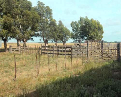 350 Ha Costa de Arroyo Sierra de la Ventana