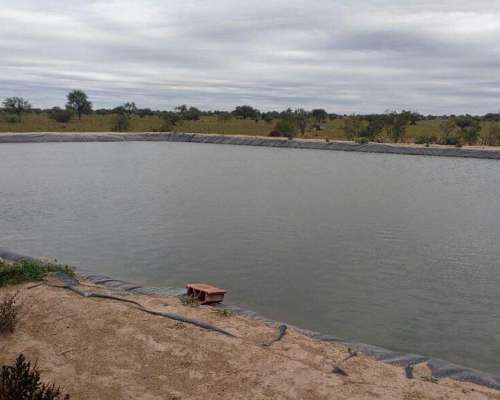 Campo en Venta Zona San Luis