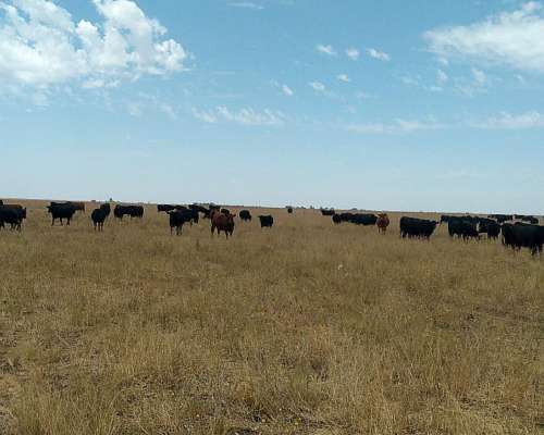 Vendo Campo Zona Bahía Blanca