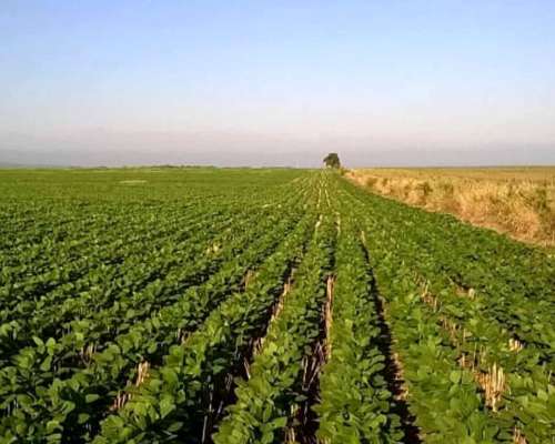 Pcia. de Catamarca - Bañado de Ovanta 437 Has