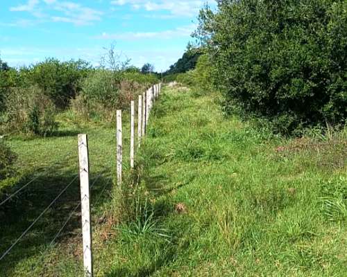 2 Hectáreas Alambrado LUZ Casa Agua
