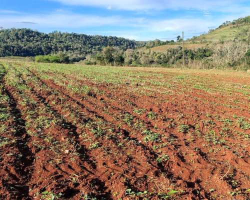 Oportunidad Única para Aprovechar