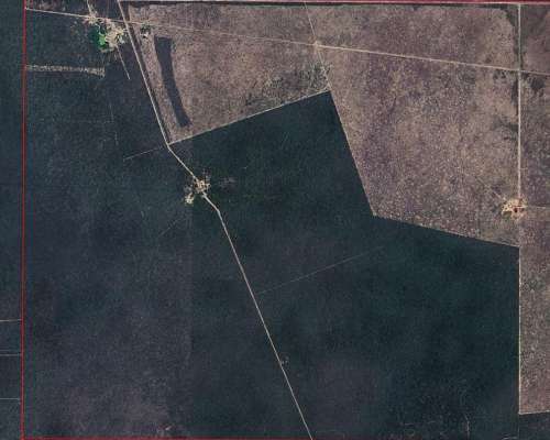 Vendo Campo de 1000 Has en Dpto Jimenez - SGO del Estero