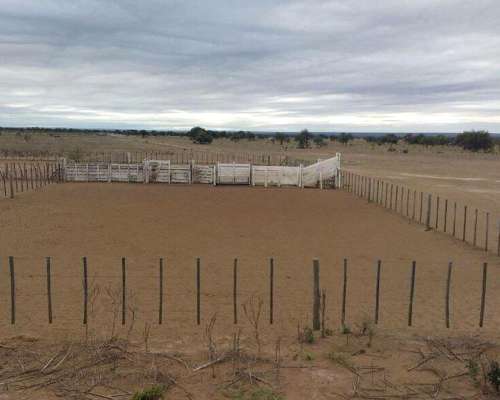 Campo en Venta Zona San Luis