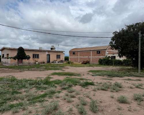 Finca de 25 Ha Chapanay, San Martin Mendoza