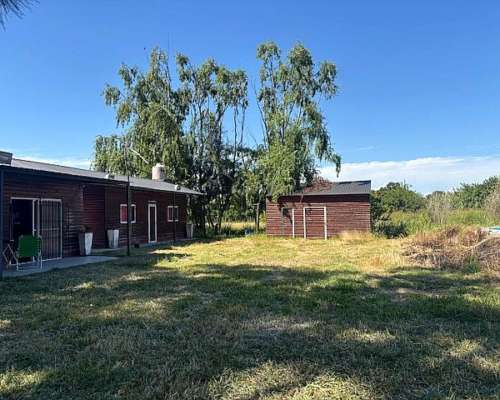 Campo de 8 Has con Pecanes y Mejoras en San Pedro