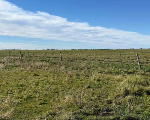Campo en Venta – 734 Has Berraondo (villarino)