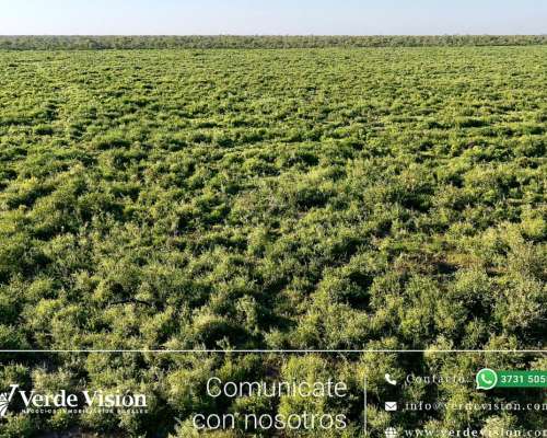 150 Has en Venta - Pcia del Chaco, las Breñas
