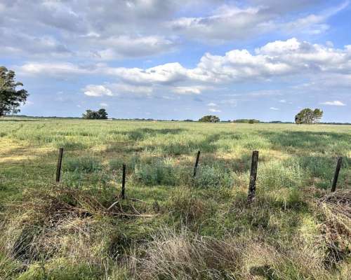 Luján, Buenos Aires - 45 Ha