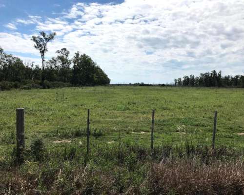 Balnearia 850 Has Ganaderas con Surgentes de Agua Dulce