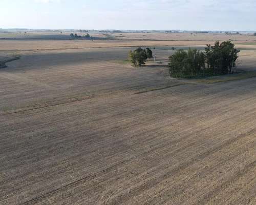 220 Hectáreas Campo Agrícola en Gualeguaychú.