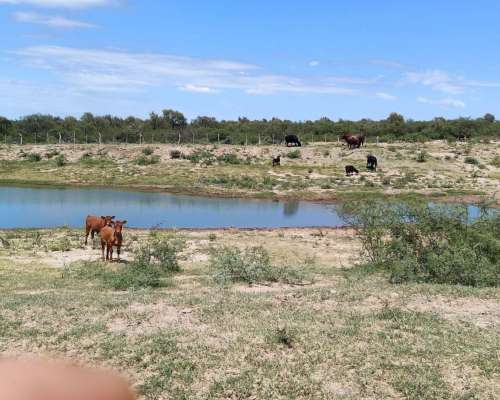 Vendo Campo San Luis