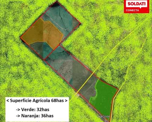 189 Ha - Mixtas - Gob. Udaondo