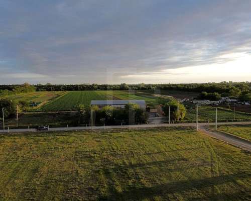 Terreno de 8 Ha en Córdoba- Zona San Carlos- Escritura