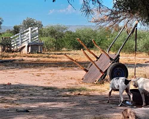 Ulapes 2.400 Has Sobre Asfalto